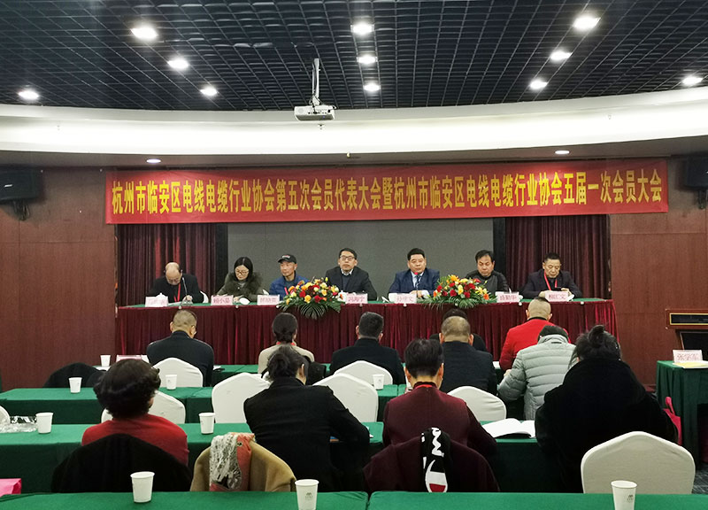 Sun Jianwen Elected New President of Lin'an Wire and Cable Association